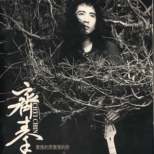 水岸歌词-齐秦