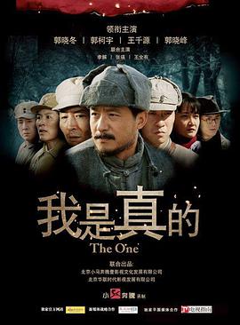 我是真的电视剧全29集