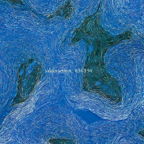さよならはエモーション歌词-sakanaction (サカナクション)