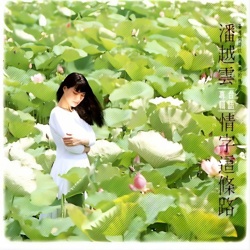 感情结冰歌词-潘越云