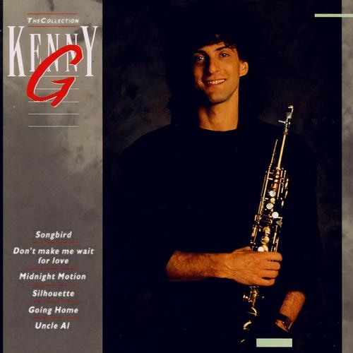 Against Doctor's Orders歌词-Kenny G