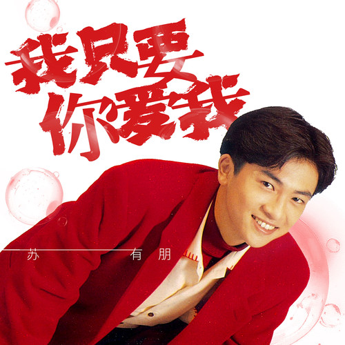 遇上爱情就不聪明歌词-苏有朋