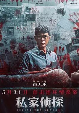 私家侦探电影HD国语|HD粤语