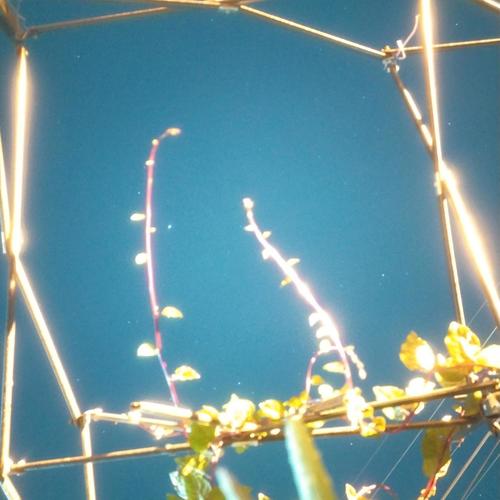 summer sunset歌词-Cafune