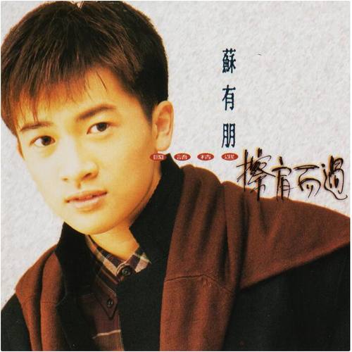 擦肩而过 (日光版)歌词-苏有朋