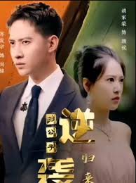 逆袭刘公子归来短剧全100集