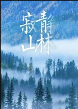 寂静山林电影HD国语版