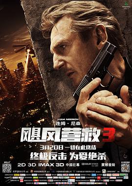 飓风营救3电影HD中字版