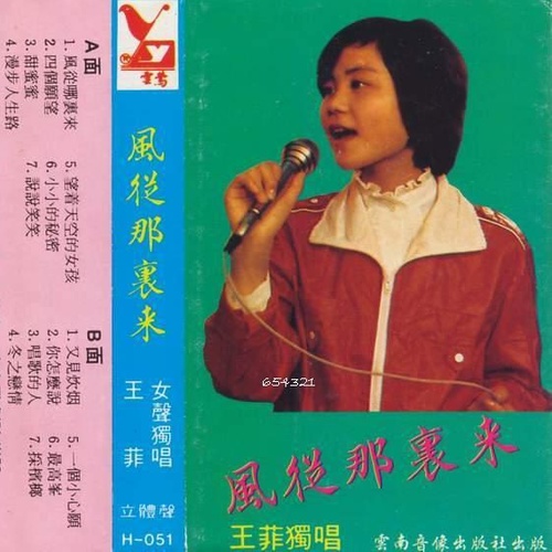 甜蜜蜜歌词-王菲