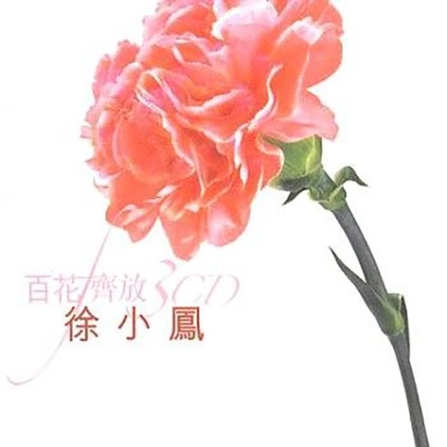 流下眼泪前歌词-徐小凤