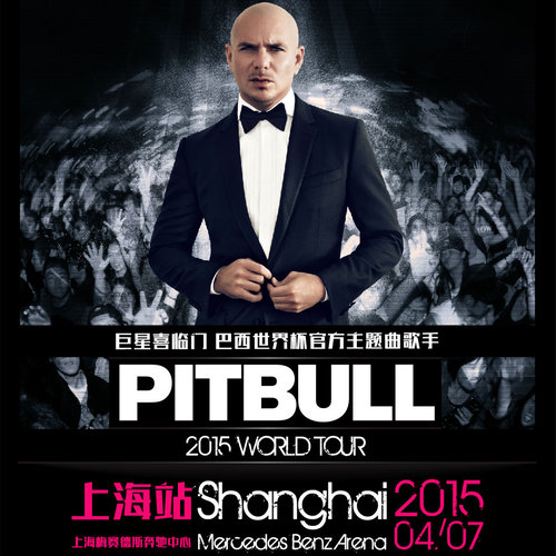 Don't Stop The Party (2015世界巡演上海站现场)歌词-Pitbull