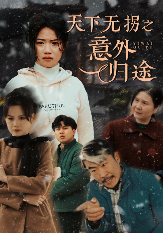 天下无拐之意外归途短剧全57集