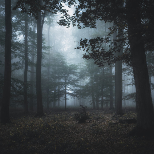 Kafka forest歌词-OCTOBER