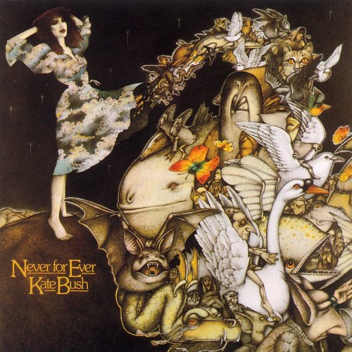 All We Ever Look For歌词-Kate Bush