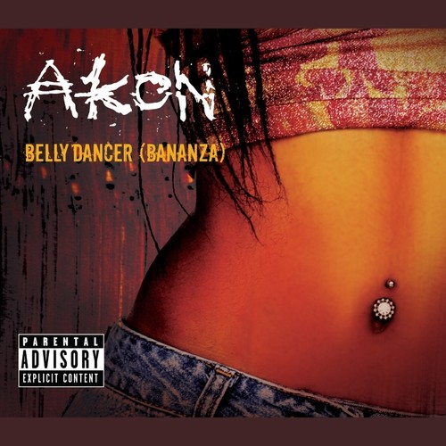 Trouble Nobody (Album Version|Explicit)歌词-Akon