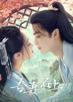 吾妻在上电视剧全20集
