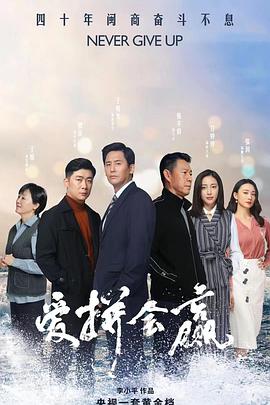 爱拼会赢电视剧全35集