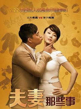 夫妻那些事电视剧全34集