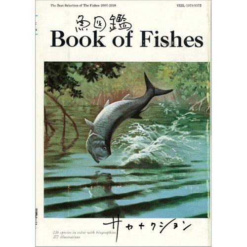 ナイトフィッシングイズグッド (Night Fishing is Good)歌词-sakanaction (サカナクション)
