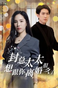 封总太太想跟你离婚很久了短剧全47集