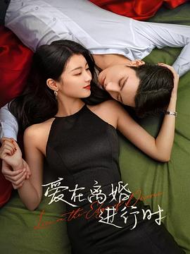 爱在离婚进行时电视剧全31集
