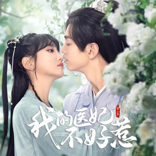 一树梨花压海棠 我的医妃不好惹 插曲歌词-西凉Cassie