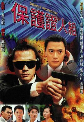 保护证人组粤语电视剧全20集