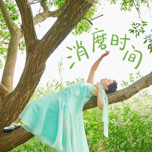 周期歌词-谢春花
