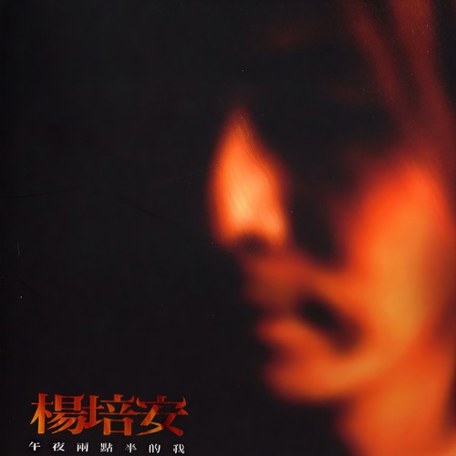 风中的羽翼歌词-杨培安