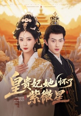 皇贵妃她怀了紫薇星短剧全80集