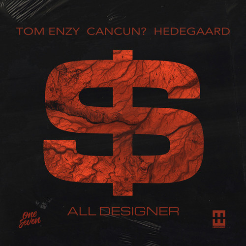 All Designer (Tom Enzy Remix)歌词-Tom Enzy / CANCUN? / HEDEGAARD