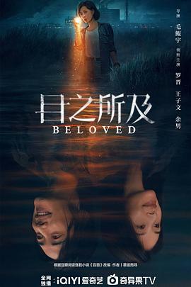 目之所及电视剧全16集