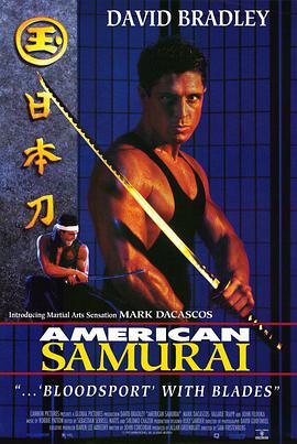 武士奇遇电影HD中字版