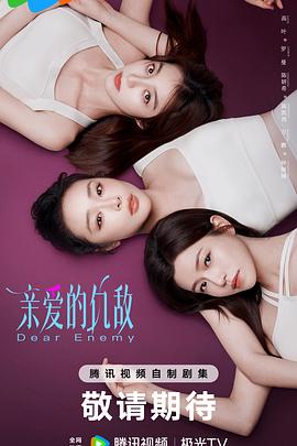 亲爱的仇敌电视剧全24集