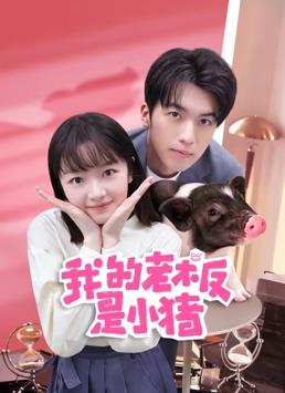 我的老板是小猪电视剧全12集