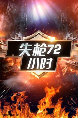 失枪72小时电影HD国语版
