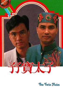 孖宝太子国语电视剧全20集
