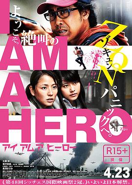 请叫我英雄2015电影DVD中字