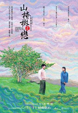 山楂树之恋电影HD国语版