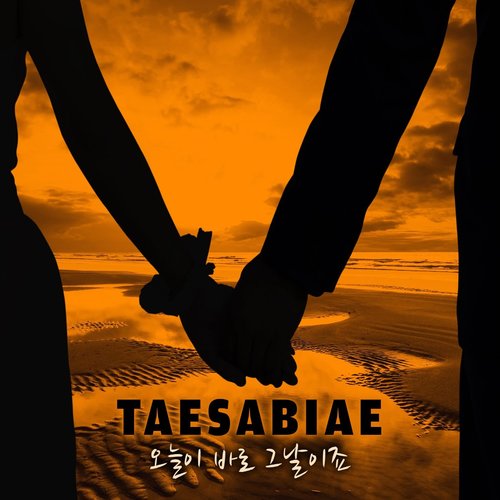 오늘이 바로 그날이죠 Instrumental (今天就是那个日子) (Inst.)歌词-殆死悲爱 (태사비애)