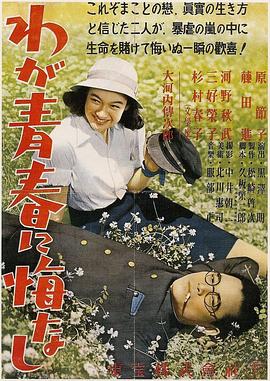 我对青春无悔电影HD中字版