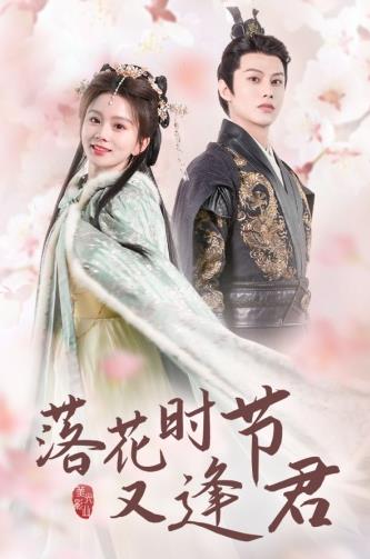 落花时节又逢君短剧全85集