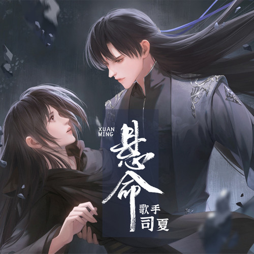 悬命 (伴奏)歌词-司夏