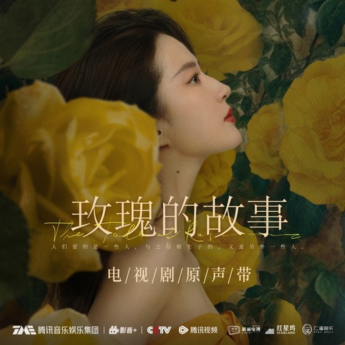玫瑰绽放歌词-梁德瀚
