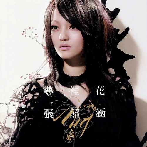 泪光歌词-张韶涵