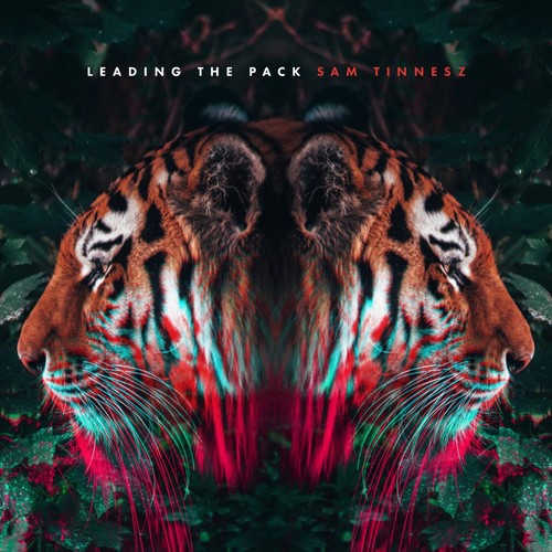Leading the Pack歌词-Sam Tinnesz
