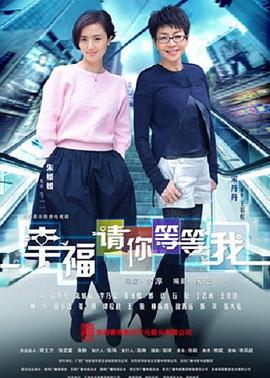 幸福请你等等我电视剧全36集