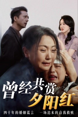 曾经共赏夕阳红短剧全60集