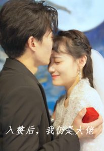 入赘后,我仍是大佬短剧全99集