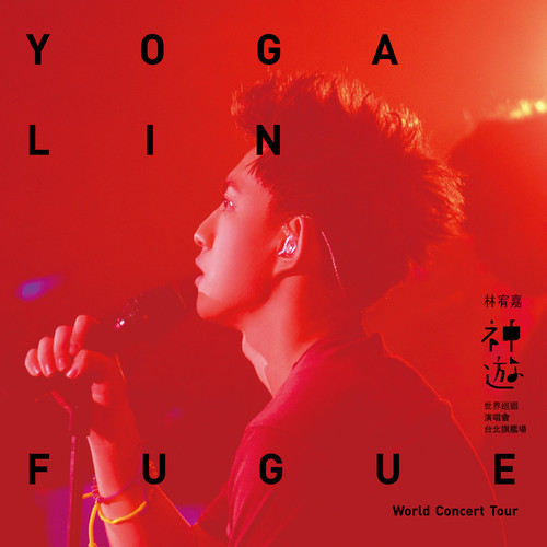 晚安 (Live)歌词-林宥嘉